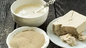 yeast recipe with sourdough starter