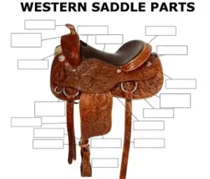 Parts of a western saddle