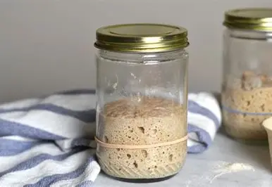Store Sourdough Starter