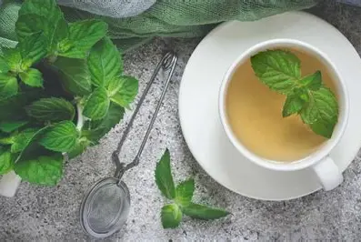 mint tea
