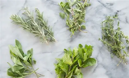 Herbs for Natural weight loss