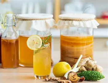 Herbal Kombucha Recipes